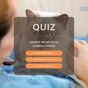 Katzendemenz Quiz