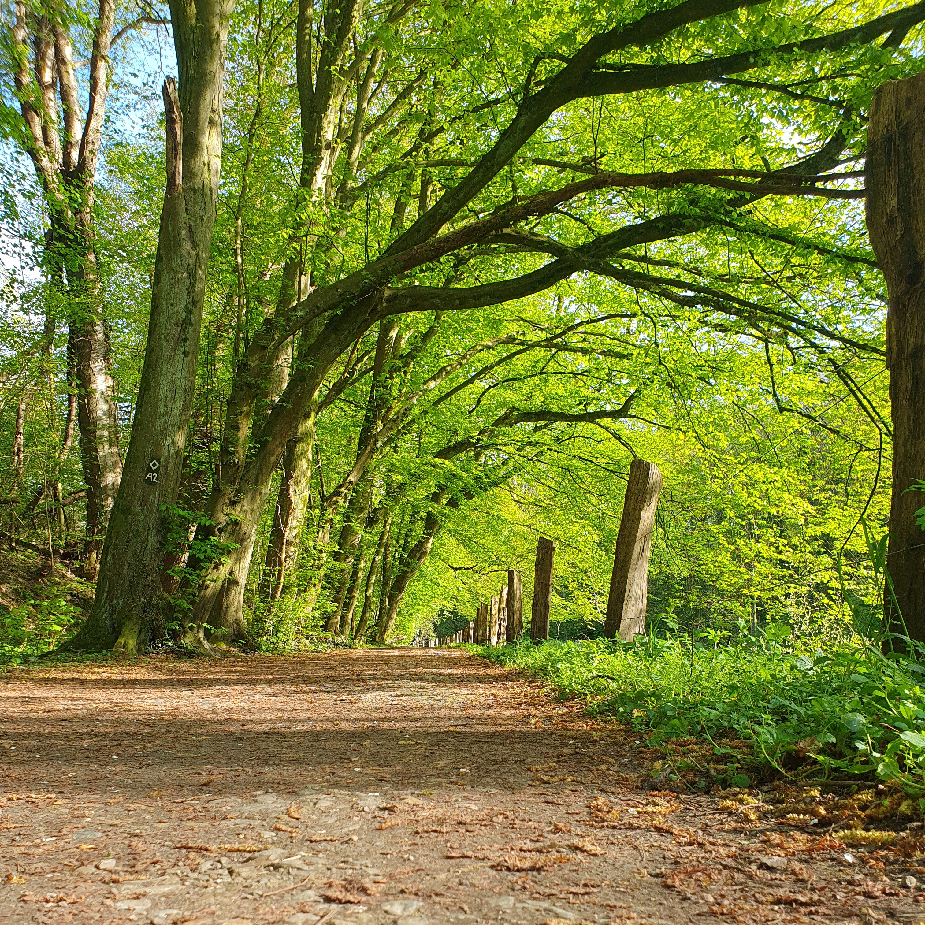 Sonne tanken in der Natur
