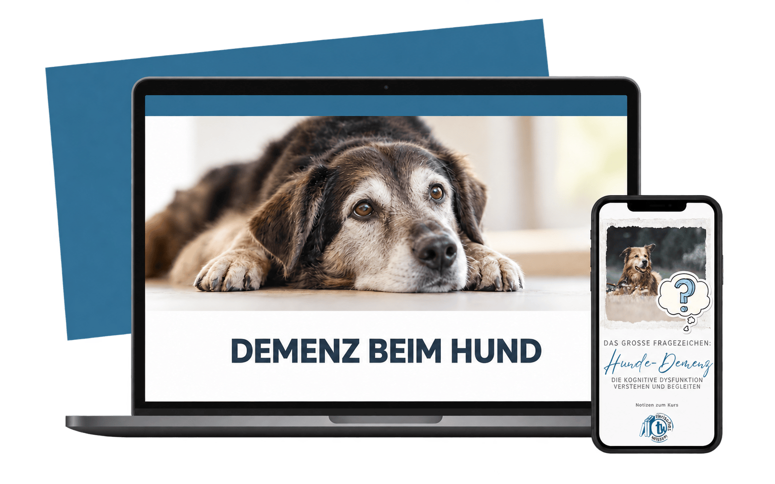 E-Learning-Hunde-Demenz