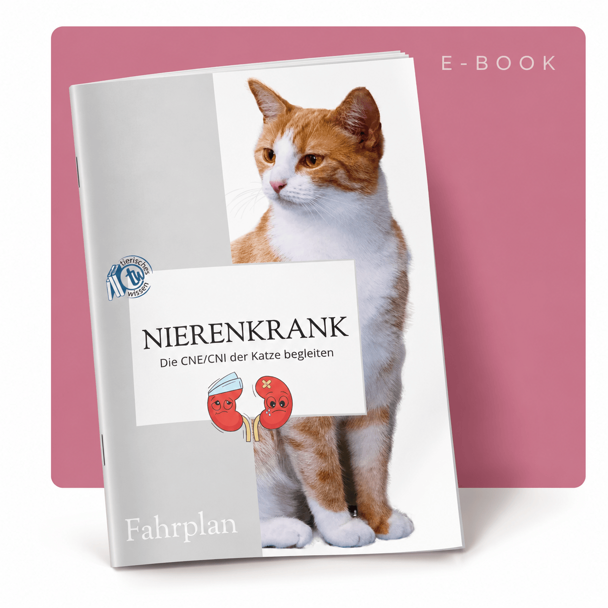 E-Book CNI der Katze