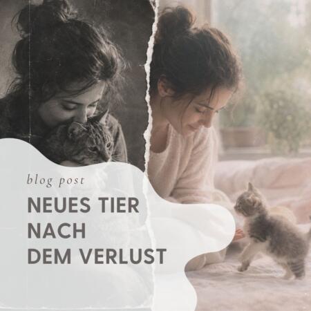 Blog Neues Tier nach Verlust