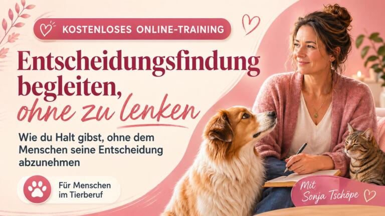 YT_Entscheidungfindung Training